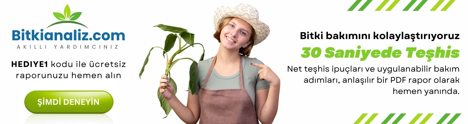 BitkiAnaliz.com